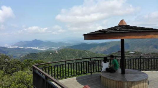 金源油茶生態(tài)園圖片