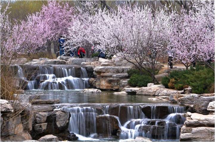 金源油茶生態(tài)園圖片