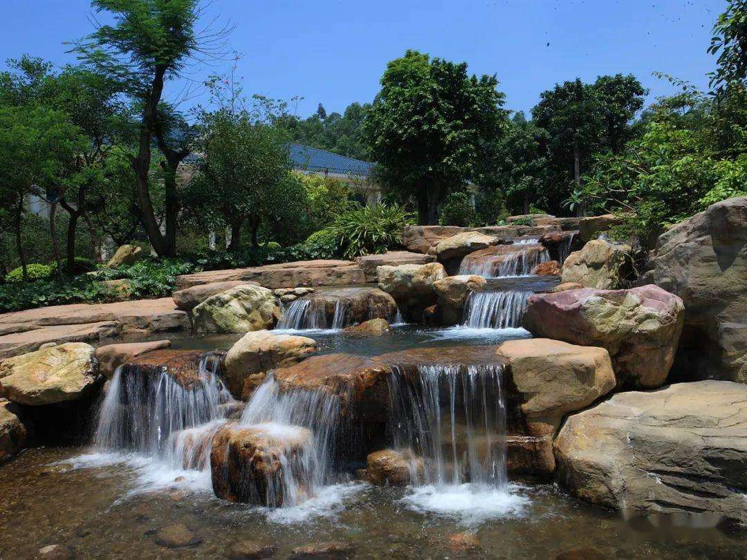 金源油茶生態(tài)園圖片