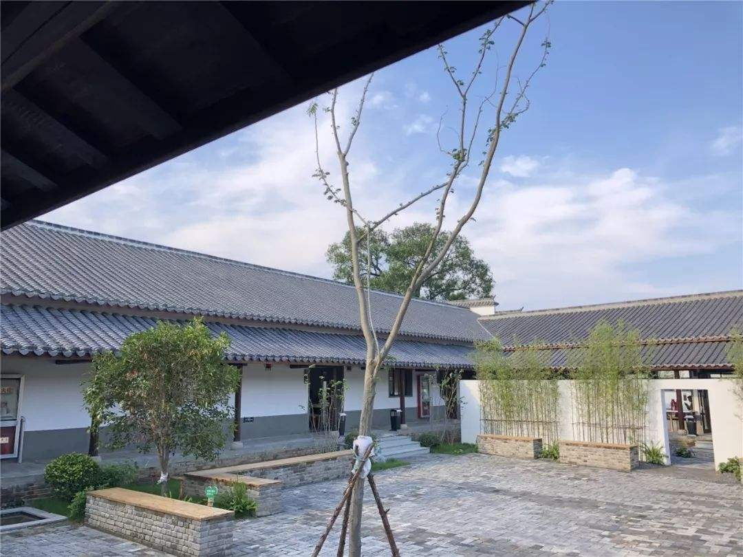 金源油茶生態(tài)園圖片