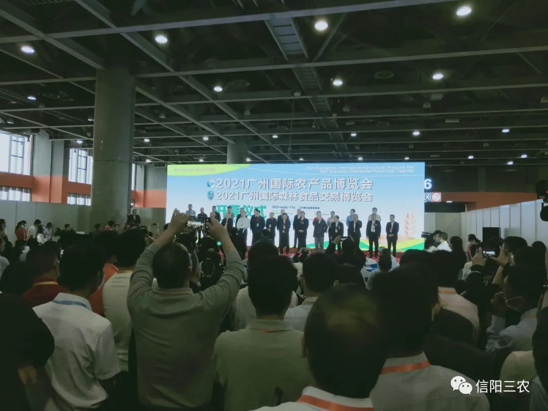 “好品羅山”特色農(nóng)產(chǎn)品扮“靚”CAF廣州農(nóng)博會(huì)，旺銷(xiāo)粵港澳大灣區(qū)