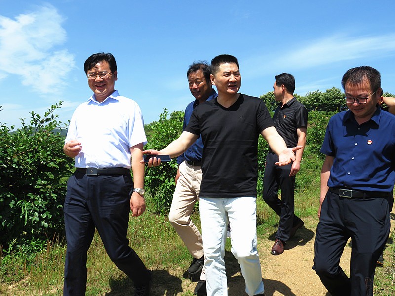 信陽市農(nóng)業(yè)銀行行長到金源油茶基地視察