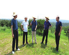信陽(yáng)市油茶協(xié)會(huì)會(huì)長(zhǎng)熊維政來(lái)金源油茶基地視察