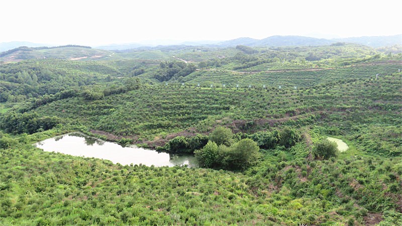 河南省生態(tài)文明建設(shè)促進(jìn)會(huì)秘書(shū)長(zhǎng)來(lái)公司基地調(diào)研