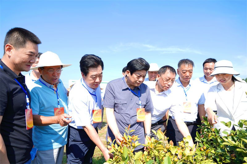 信陽市人大常委會主任謝天學一行到金源調(diào)研油茶產(chǎn)業(yè)發(fā)展情況