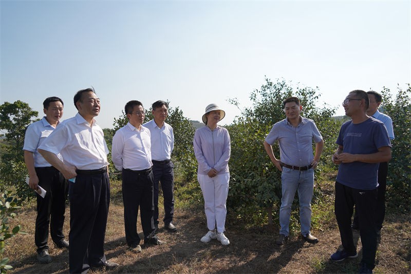 省林業(yè)局局長原永勝一行到金源油茶基地考察