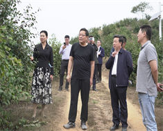市發(fā)改委黨組書記、主任梁玉峰一行到金源油茶實地調(diào)研