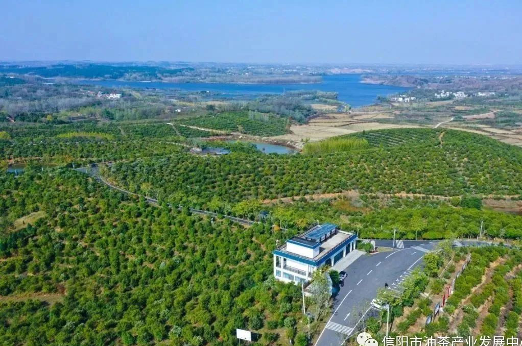 路子找到了,就要大膽去做!