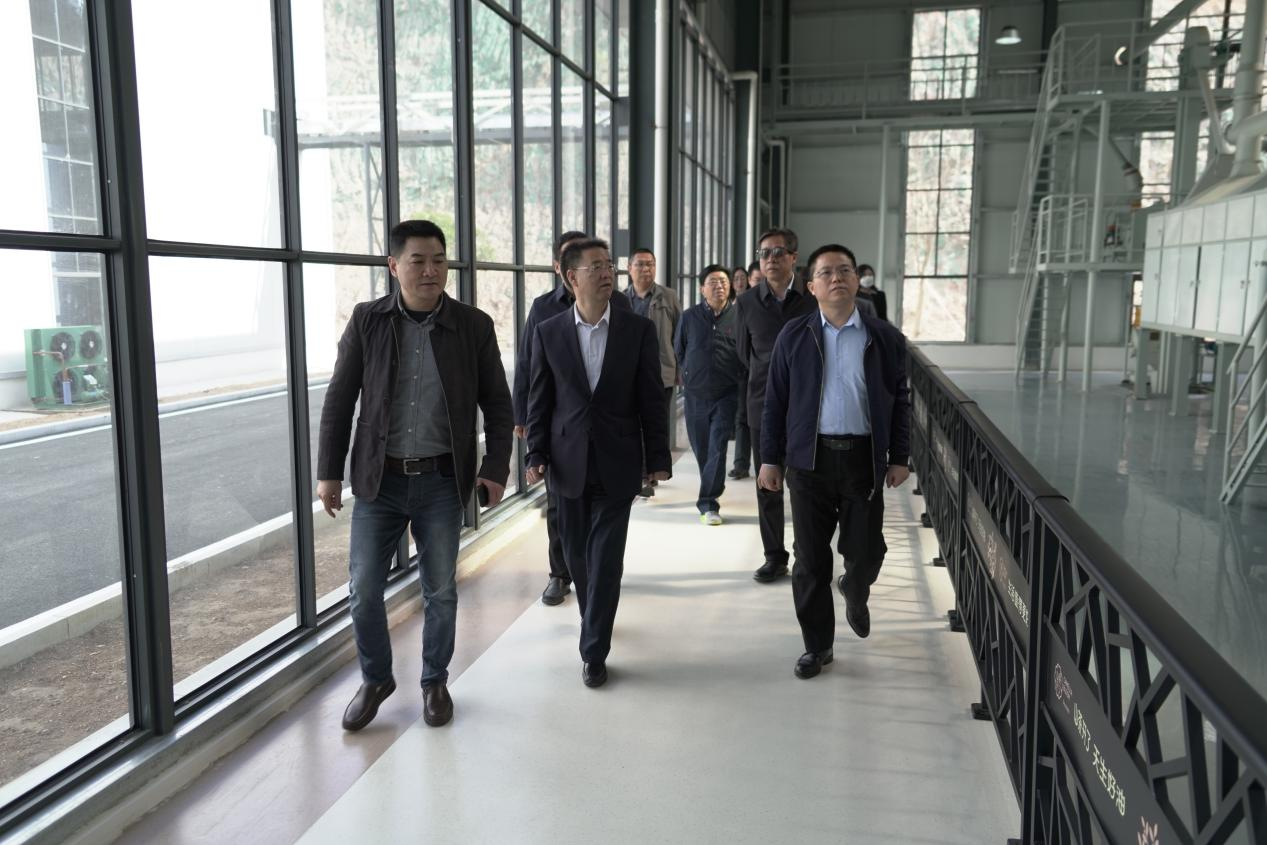 中林集團(tuán)黨委委員、副總經(jīng)理李留彬到金源油茶考察：聚焦油茶產(chǎn)業(yè)一二三產(chǎn)融合發(fā)展